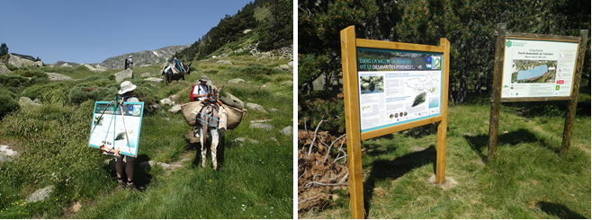 Mise en place des premiers panneaux dans la vallée de Nohèdes