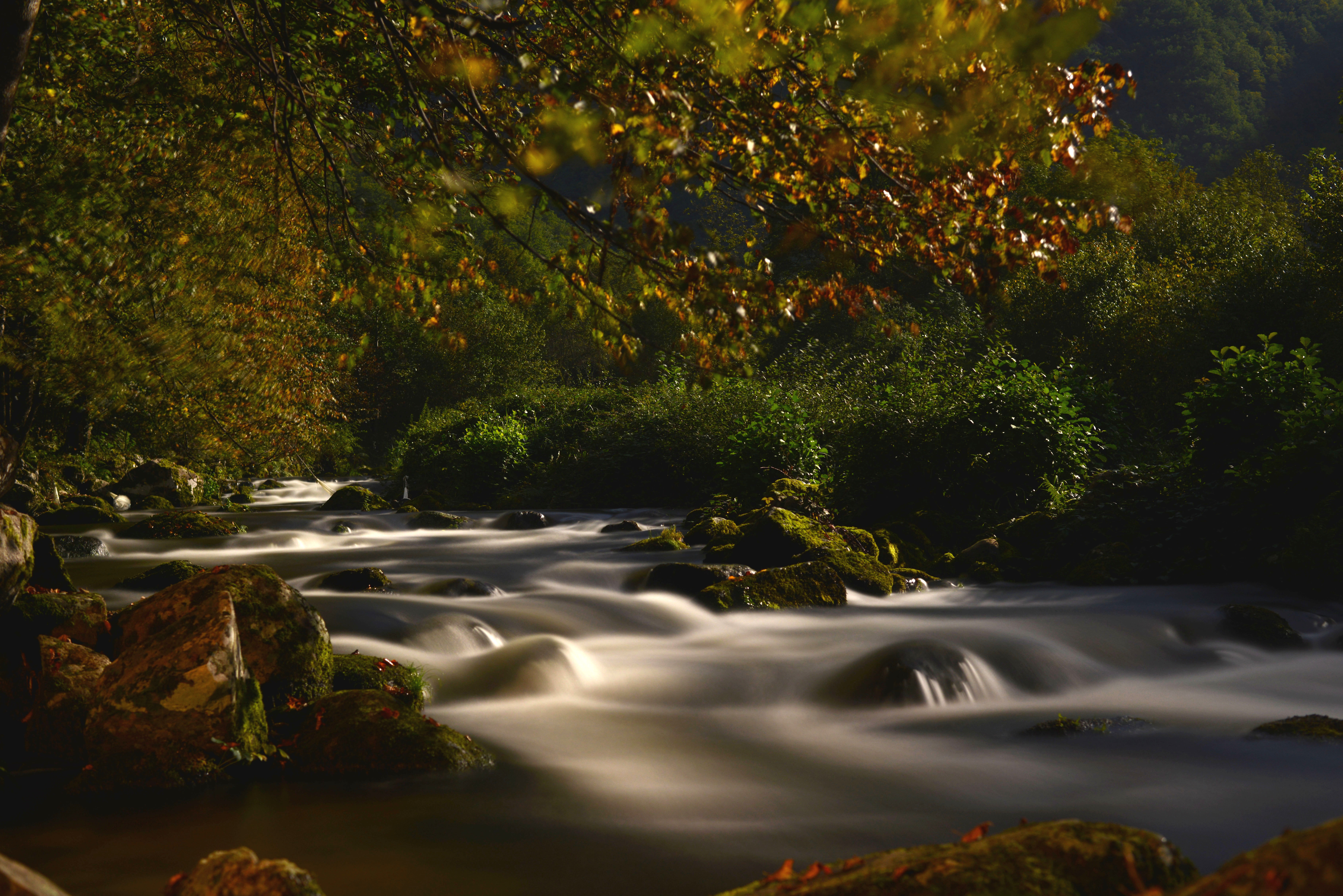 Rivière Aston © F. Blanc