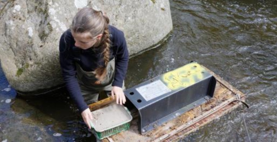 Relevé des radeaux à empreintes situés dans la rivière de Nohèdes © Alain Mangeot (Conservateur de la Réserve de Nohèdes)