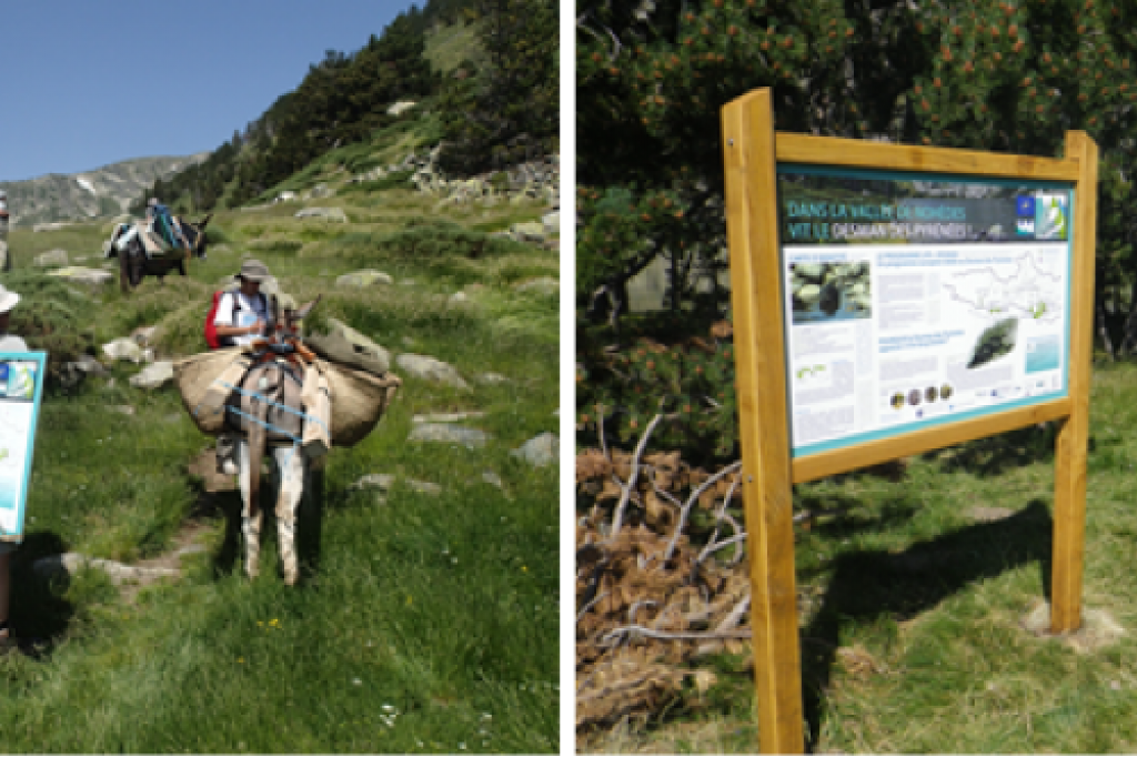 Mise en place des premiers panneaux dans la vallée de Nohèdes